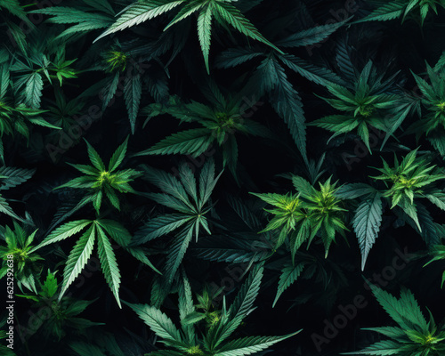 Cannabis plant wallpaper with rich colors