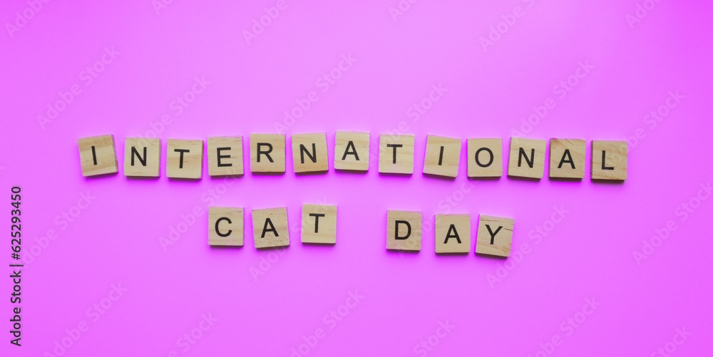 August 8, World Cat Day, minimalistic banner, inscription in wooden letters International Cat Day August 8, World Cat Day, minimalistic banner, inscription in wooden letters International Cat Day