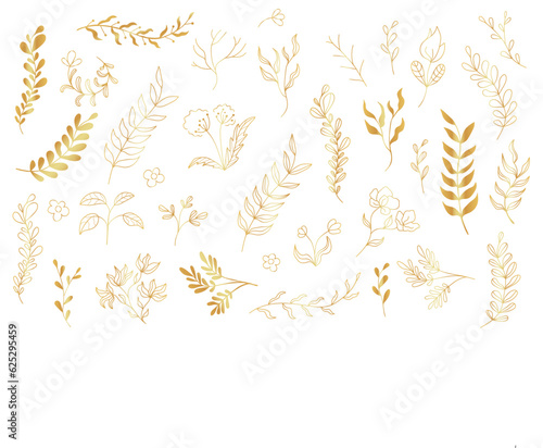 Set of golden branches with leaves and flowers on isolated background. Hand drawing wildflower for background, wrapper pattern, frame or border. Line art