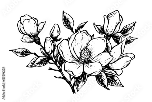 Hand drawn magnolia flower ink sketch. Engraving style vector illustration.