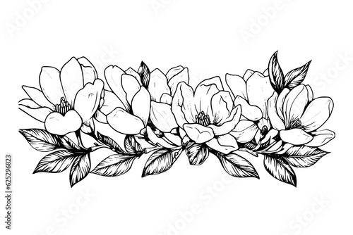 Hand drawn magnolia flower ink sketch. Engraving style vector illustration.