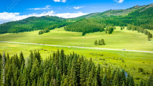 Mountain valley on the Chuisky tract in the Altai Republic in summer. Summer landscape. Coniferous forest surrounded by mountains. Shebalinsky district, South Siberia, Russia