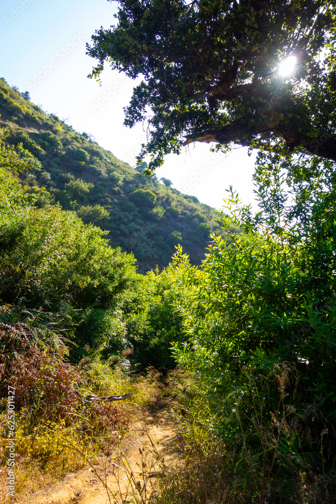Hiking Views of golden grass, green bushes, and the Santa Monica Mountians, in Ventura County during the summer. Hiking Views of golden grass, green bushes, and the Santa Monica Mountians, in Ventura County during the summer.