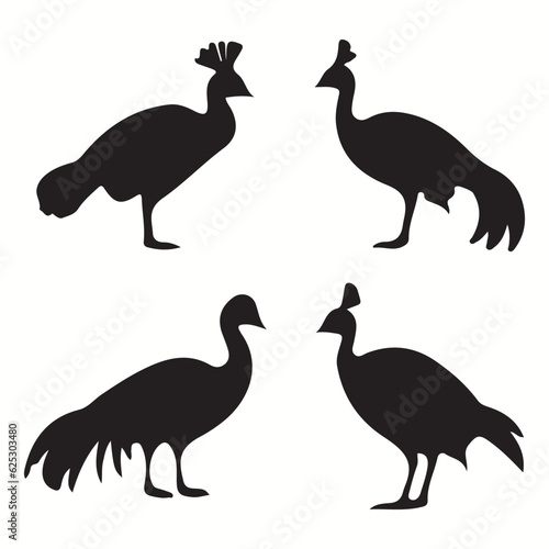 Cassowary silhouettes and icons. Black flat color simple elegant Cassowary animal vector and illustration.  