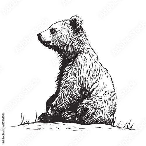dreamy bear in pencil doodle style
