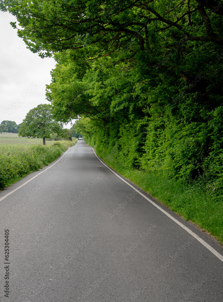 Empty asphalt two way road in the countryside with green trees. Nature rural landscape
