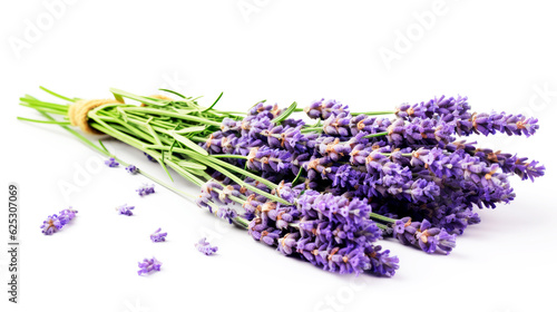 Bouquet of lavender. Provence. Branches of lavender. Purple flowers. France. lavender flowers