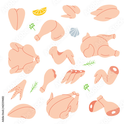 Raw chicken set. Butcher shop. Chicken farming products. Whole chicken, brisket wing, carcass, fillet, ham, leg, breast, shank, drumstick.