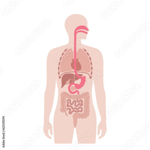 Endoscopic sleeve gastroplasty