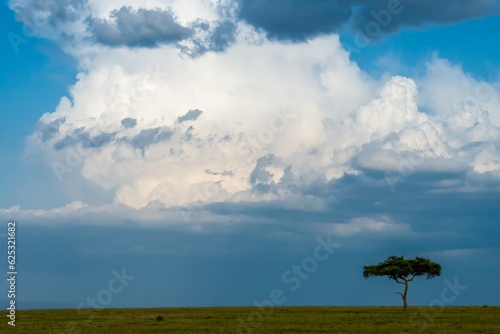 A dramatic cloud on the Maasai mara