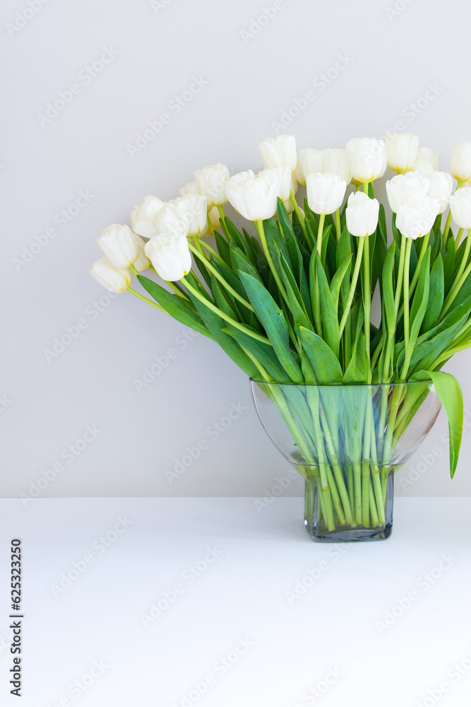 Gray wall background with a bouquet of white tulips in a vase Gray wall background with a bouquet of white tulips in a vase