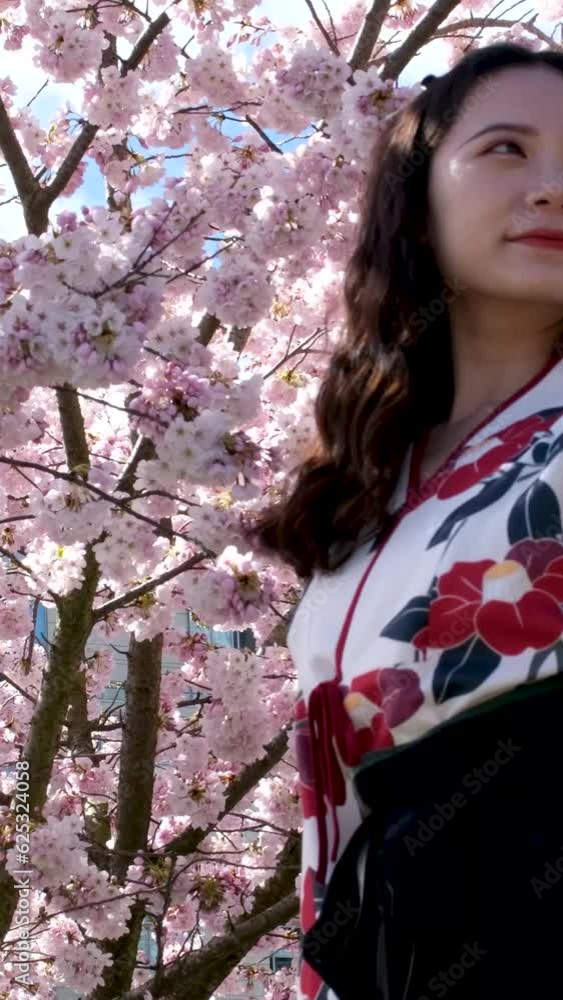 Young asian woman wearing kimono. Cherry blossoms. Japanese traditional clothes. High quality 4k footage Young asian woman wearing kimono. Cherry blossoms. Japanese traditional clothes. High quality 4k footage