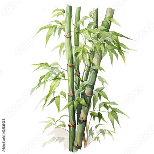 A delicate watercolor painting capturing the grace and tranquility of a bamboo plant