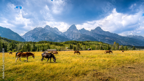 Western Landscape Photo of horses in a field with in the background the Teton Range in Grand Teton National Park, Wyoming, USA