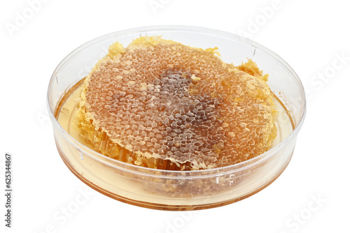 honeycomb in the package removed from the beehive