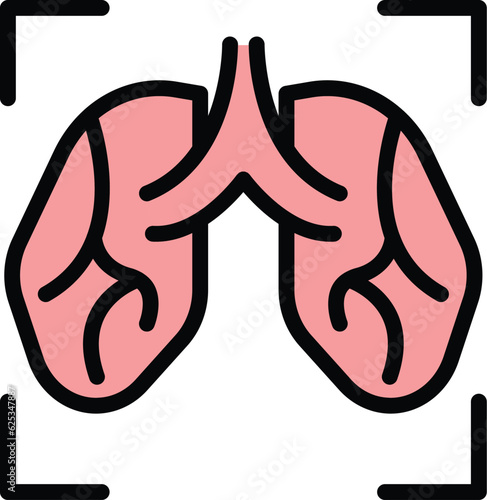 Lungs screening icon outline vector. Patient xray. Lung chest color flat