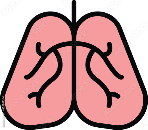 Human lungs icon outline vector. Diagnosis roentgen. Medicine hospital color flat
