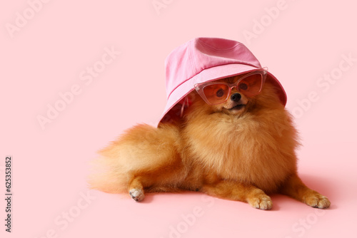 Cute Pomeranian dog in sunglasses and bucket hat on pink background