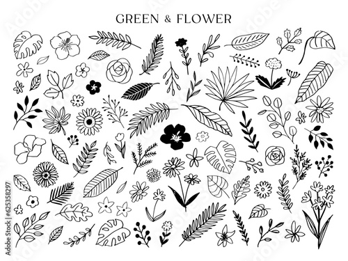 植物と花の線画イラストセット