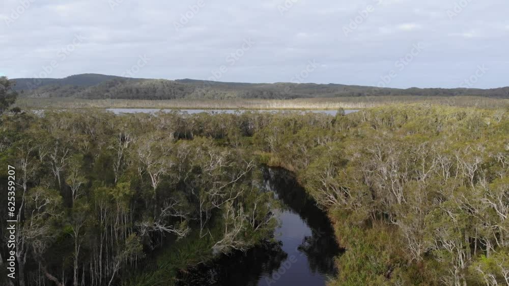 aerial panorama of unique noosa everglades, noosa river and lake cootharaba in south east queensland; unique australian wetlands similar to florida everglades in united states aerial panorama of unique noosa everglades, noosa river and lake cootharaba in south east queensland; unique australian wetlands similar to florida everglades in united states
