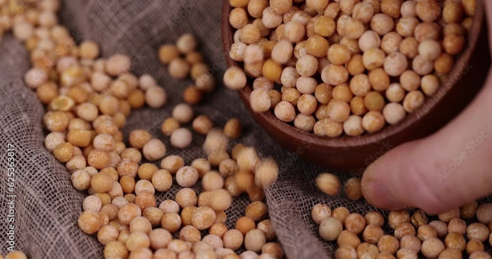 pour dry yellow peas scattered before cooking, Dry hard yellow peas for cooking porridge pour dry yellow peas scattered before cooking, Dry hard yellow peas for cooking porridge