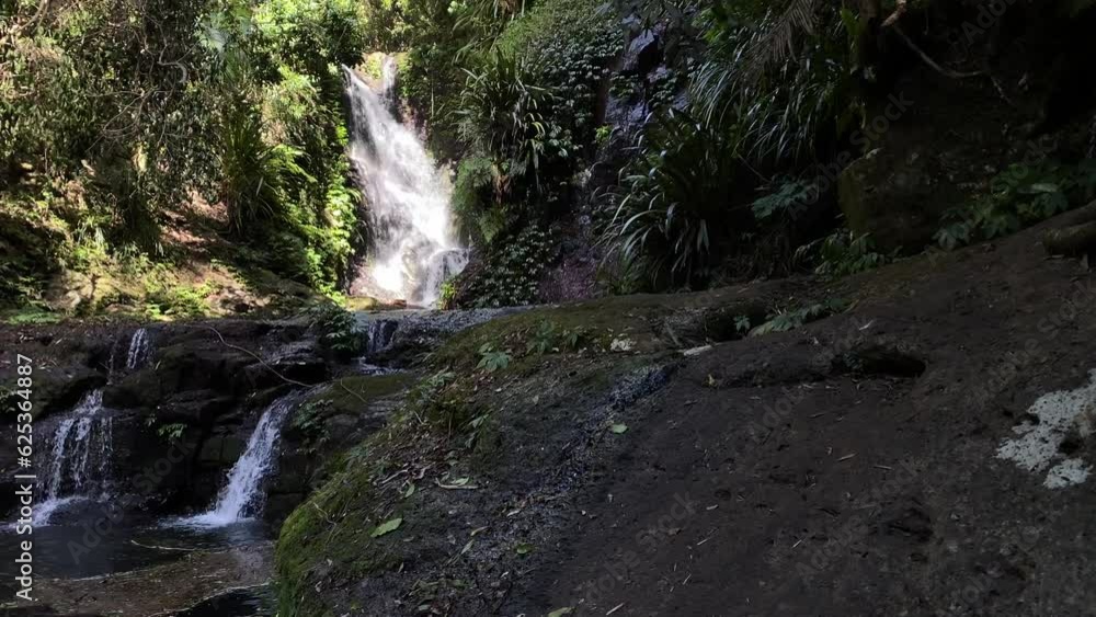 panorama of unique elabana falls in lamington national park, south east queensland, australia; beautiful waterfall in dense gondwana rainforest near gold coast and brisbane panorama of unique elabana falls in lamington national park, south east queensland, australia; beautiful waterfall in dense gondwana rainforest near gold coast and brisbane