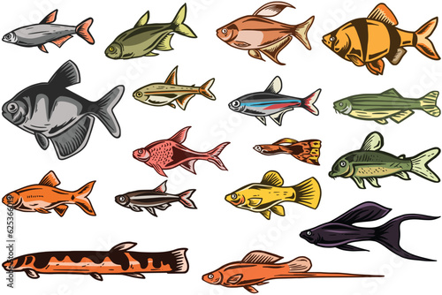 Set of fish, isolated on white background, Vector illustration, Aquascape fish tank © OTASTD