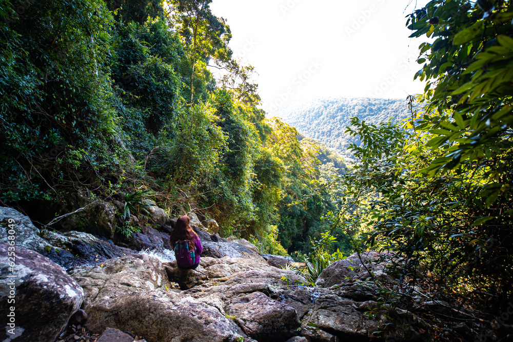 backpacker girl sitting at the top of waterfall in australian rainforest, warrie circuit in springbrook national park, queensland backpacker girl sitting at the top of waterfall in australian rainforest, warrie circuit in springbrook national park, queensland