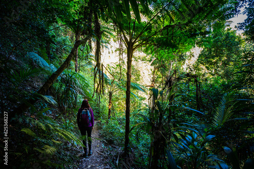 Beautiful girl hikes in magical Gondwana rainforest; Warrie Circuit trail in Springbrook National Park, Gold Coast, Queensland, Australia	