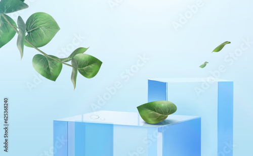 Transparent podium with leaves