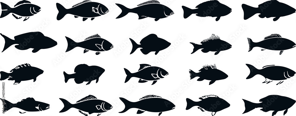 Naklejka premium sea fish silhouettes