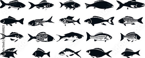 fish silhouettes set illustration