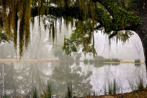 Greenwood plantation reflecting pond with ancient live oak and moss.