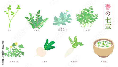 春の七草と七草粥のイラストセット。フラットなベクターイラスト。
Illustration set of Japanese seven spring herbs and seven herb rice porridge. Flat designed vector illustration.