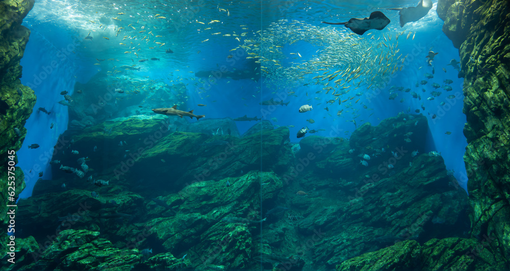 Naklejka premium large aquarium tank