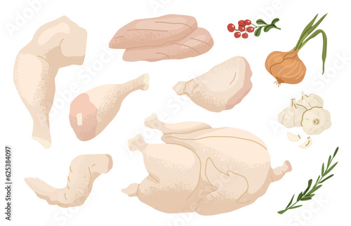 Set of meat products. Fresh chicken, turkey fillet. Different parts of the poultry and vegetables. Concept for farms and food markets. Vector illustration isolated on white background.