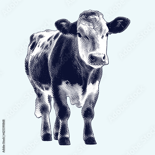 Cow or Beef Cattle vintage engraving illustration. Vector hen what standing side view. Farm animal sketch illustration. Hand drawn engraving style vector illustration.