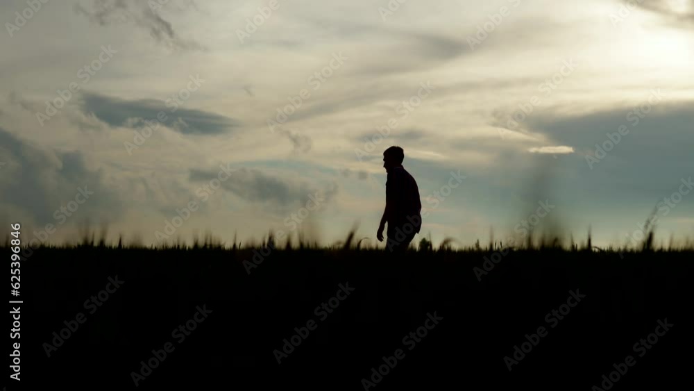 Farmer silhouette walks in rye field and touches ripening wheat ears with hand. Agronomist man going through grain field with scenic sky. Agriculture, harvesting, farming, food supply concept. Farmer silhouette walks in rye field and touches ripening wheat ears with hand. Agronomist man going through grain field with scenic sky. Agriculture, harvesting, farming, food supply concept.
