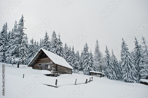 Wooden house at pine trees covered by snow on mountain Chomiak. Beautiful winter landscapes of Carpathian mountains, Ukraine. Frost nature.