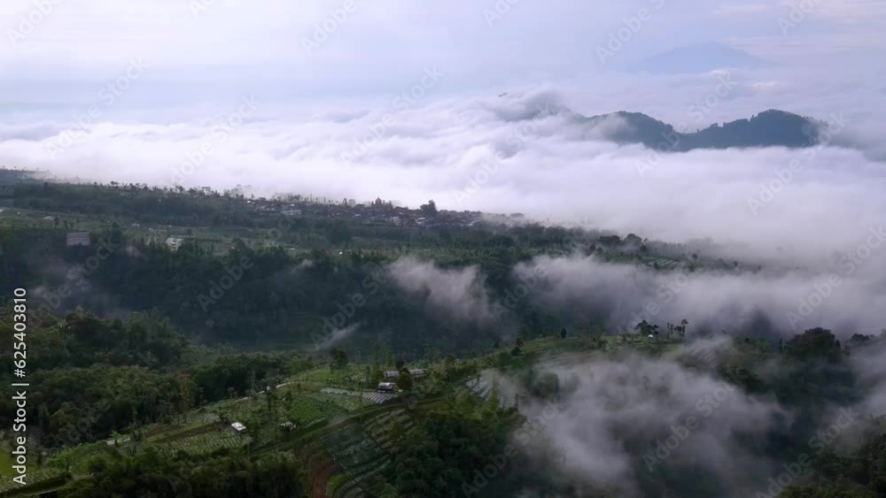 Aerial view sea of clouds on the hills. Plantation on the mountain slope. Hills shrouded by mist. Thick fog under the hill - 4K drone shot Aerial view sea of clouds on the hills. Plantation on the mountain slope. Hills shrouded by mist. Thick fog under the hill - 4K drone shot