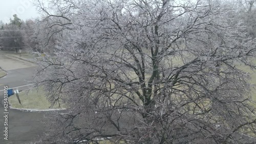 Tree after ice storm in America, aerial orbit view photo