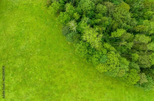 Aerial view of rural landscape with meadows and trees in Switzerland.
