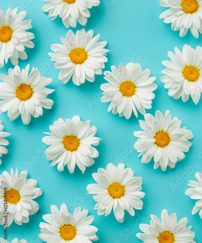 Fresh  white daisies on light pastel blue background. Beautiful flower pattern. Closeup.