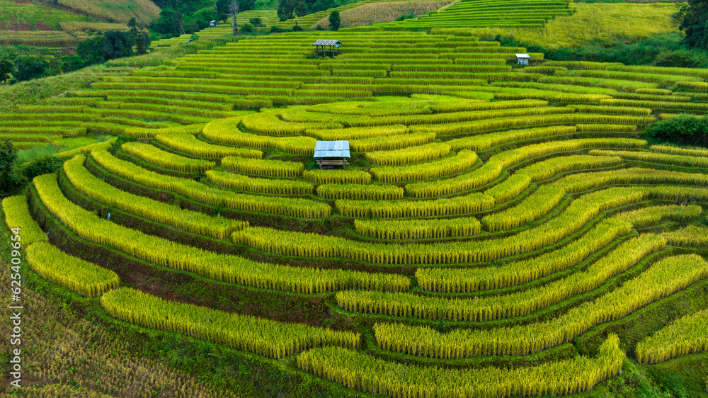 landscape for background of rice terraces field by harvesting season, at Ban Pa Bong Piang Chiang Mai Province, Northern of Thailand,  aerial vie