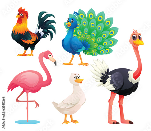 Set of birds vector cartoon illustration. Rooster, peacock, flamingo, duck and ostrich photo