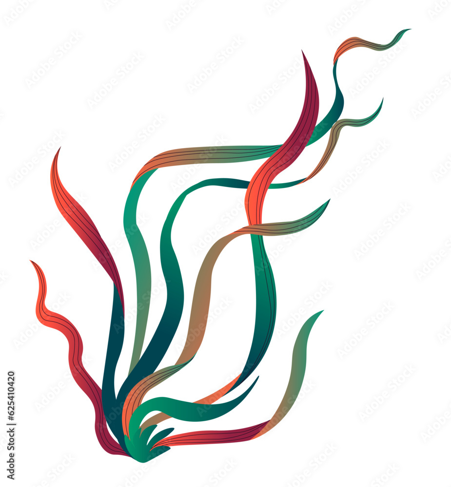 Fototapeta premium Seaweed with long leaves, sea or ocean bottom