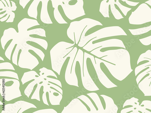 monstera hojas patron