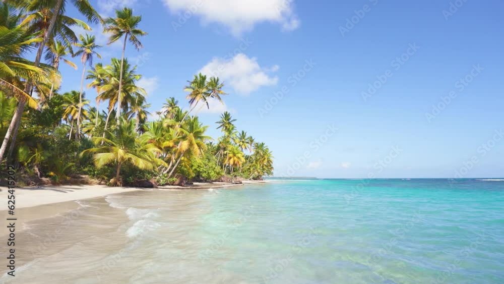 Sea tropical coast with palm trees hanging over the turquoise sea. Transparent waves on yellow sand. Paradise Beach on the Caribbean island of Barbados. Panoramic video of a beautiful landscape. Sea tropical coast with palm trees hanging over the turquoise sea. Transparent waves on yellow sand. Paradise Beach on the Caribbean island of Barbados. Panoramic video of a beautiful landscape.