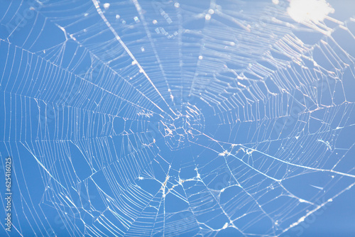 Round web on a blue background....