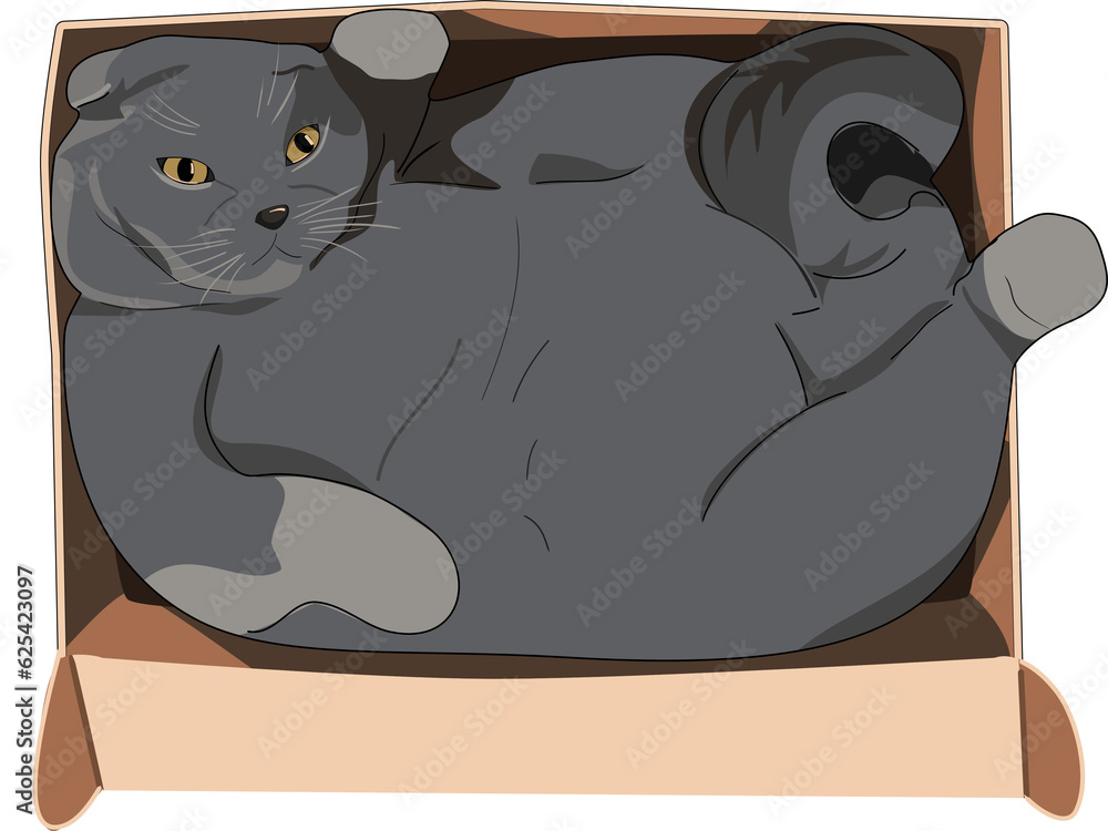 Fat cat in sales box